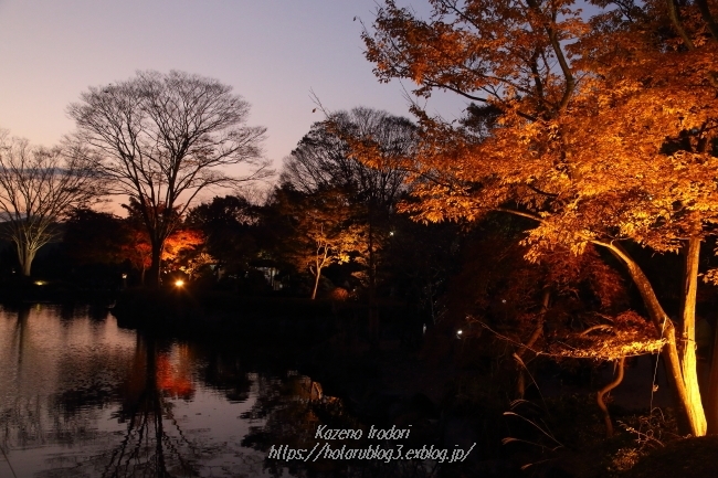 桜山公園ライトアップ 風の彩りー３