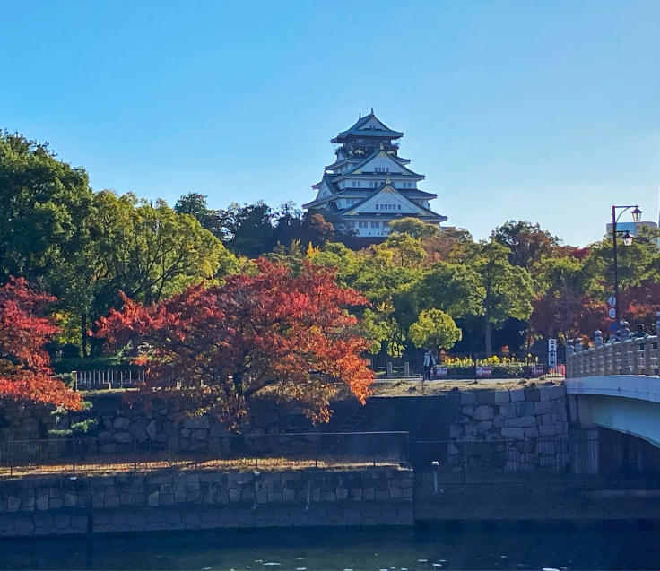 大阪城公園の紅葉_b0063958_07113907.jpg