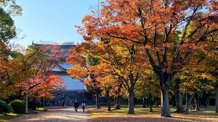 大阪城公園の紅葉_b0063958_07114430.jpg