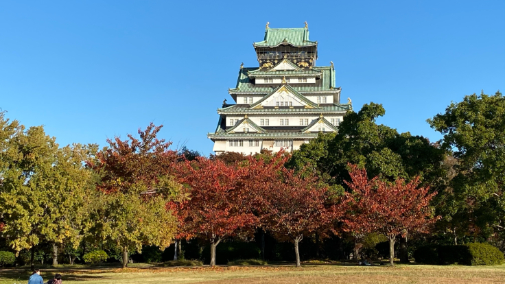 大阪城公園の紅葉_b0063958_07114739.jpg