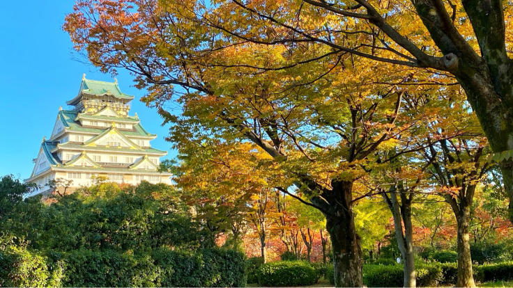 大阪城公園の紅葉_b0063958_07124091.jpg