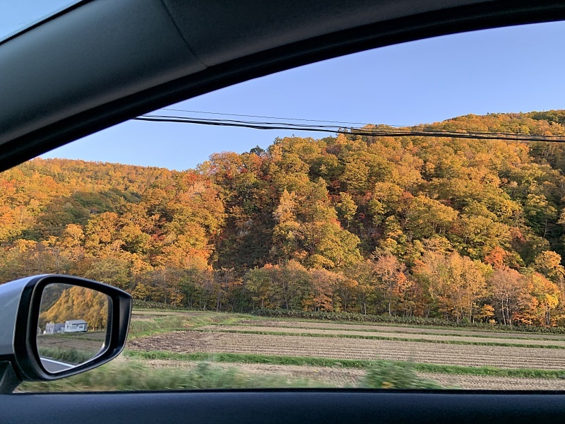 北海道旅行2日目_b0299185_15381176.jpg