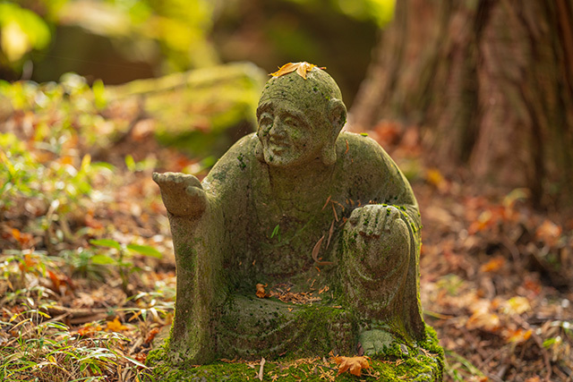 長安寺の紅葉と五百羅漢_b0145398_22064161.jpg