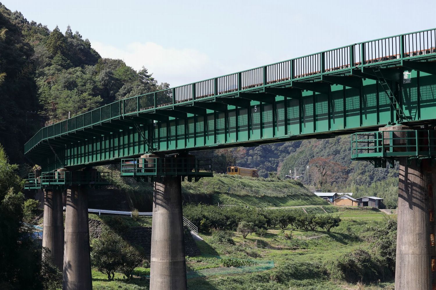 予土線 しまんトロッコ2号 半家駅 江川崎駅間 吉野川橋梁 南風 しまんと 剣山 ちょこっと