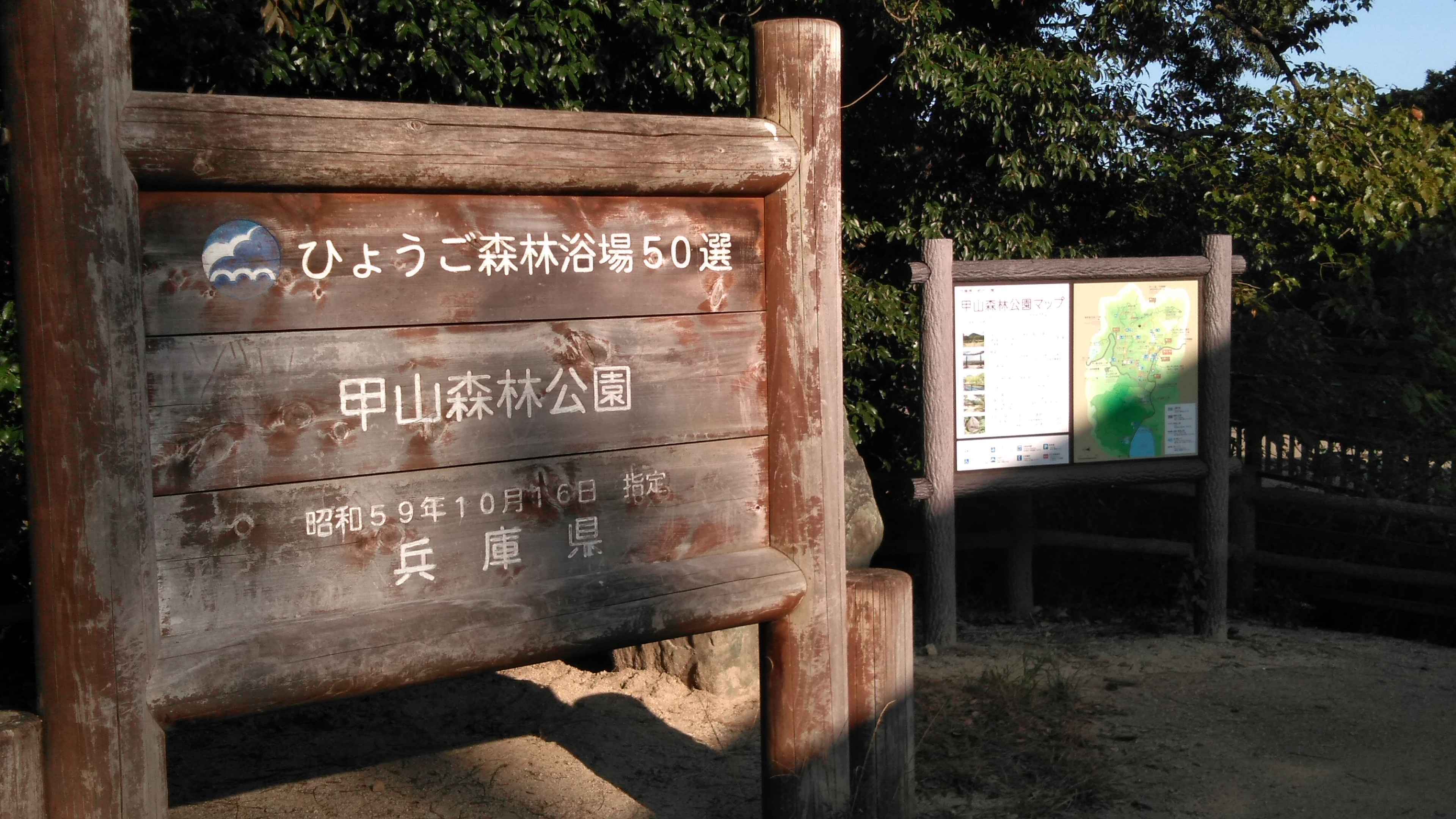 秋ハイキング 神戸市森林植物園と西宮市甲山森林公園 ジョニーからの提案 秋ハイキング 神戸市森林植物園と西宮市甲山森林公園 ジョニーからの提案