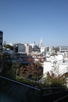 原宿駅前から、表参道、渋谷まで、てくてく_e0080345_06283091.jpg