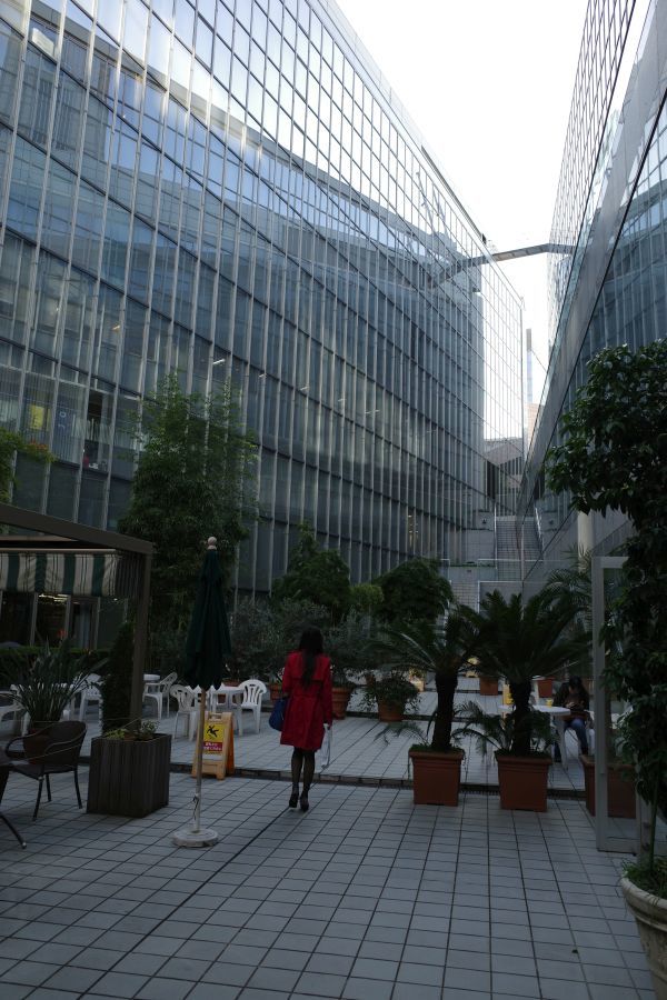 原宿駅前から、表参道、渋谷まで、てくてく_e0080345_06284601.jpg