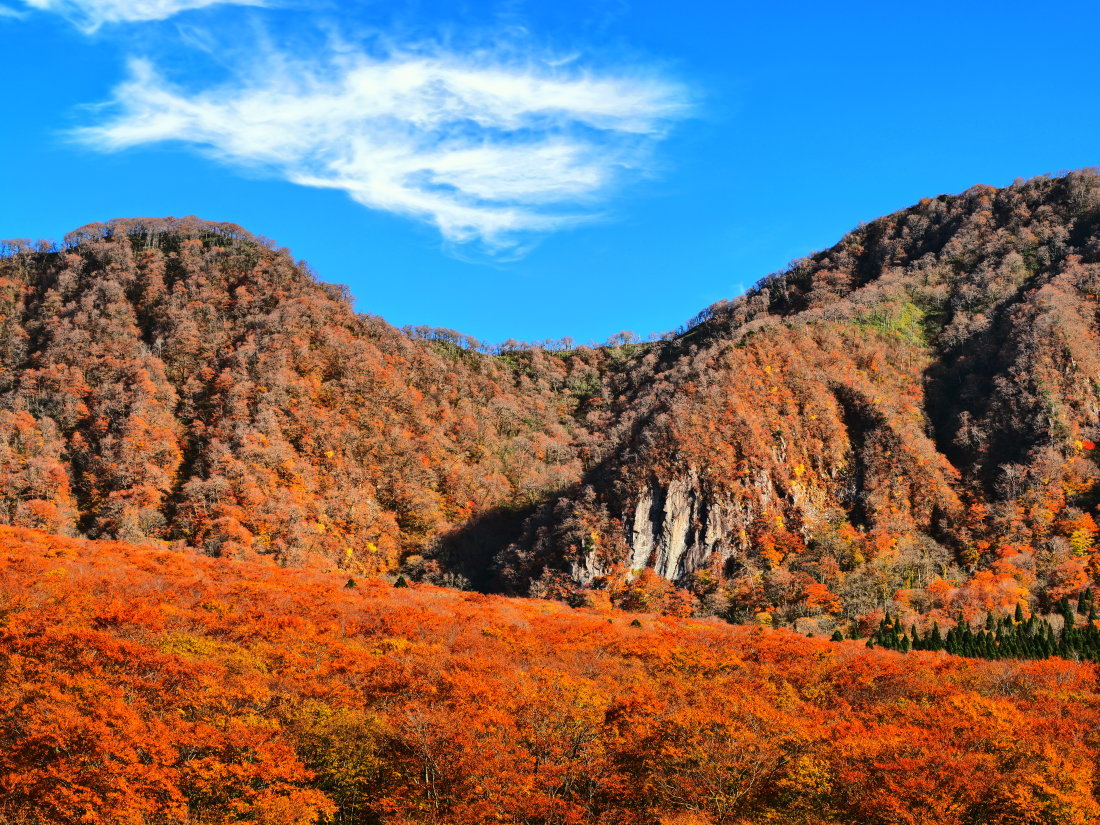 紅葉 10 鳥取県_d0286954_04495092.jpg