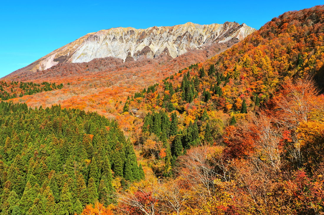 紅葉 10 鳥取県_d0286954_04501040.jpg