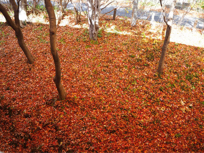 那須温泉　最終日は那須の名旅館「山水閣」へ_b0347858_22295183.jpg