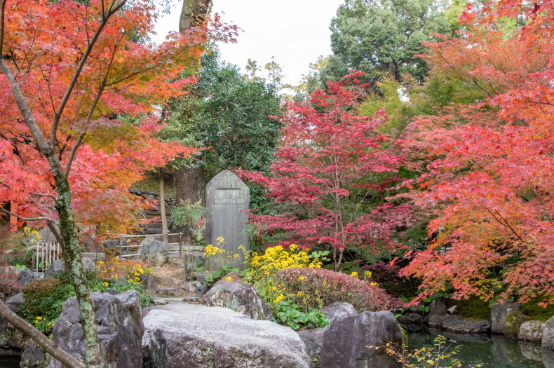 「早朝の長岡天満宮」_c0067168_10290218.jpg