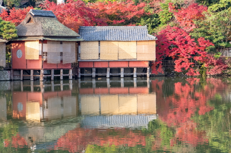 「早朝の長岡天満宮」_c0067168_10291448.jpg