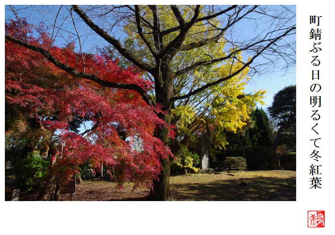 町錆ぶる日の明るくて冬紅葉_a0248481_21192334.jpg