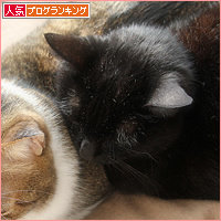 しあわせな日が来たね_a0389088_11171711.jpg