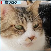 しあわせな日が来たね_a0389088_11171818.jpg