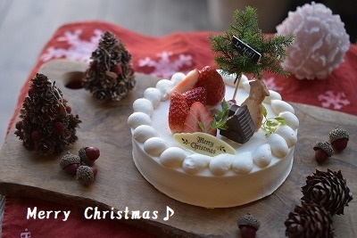 Christmasケーキお待たせしました。　ご予約案内♪_e0128909_18051943.jpg