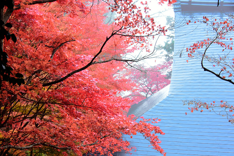 大黒寺　続、紅葉_c0408913_18002539.jpg