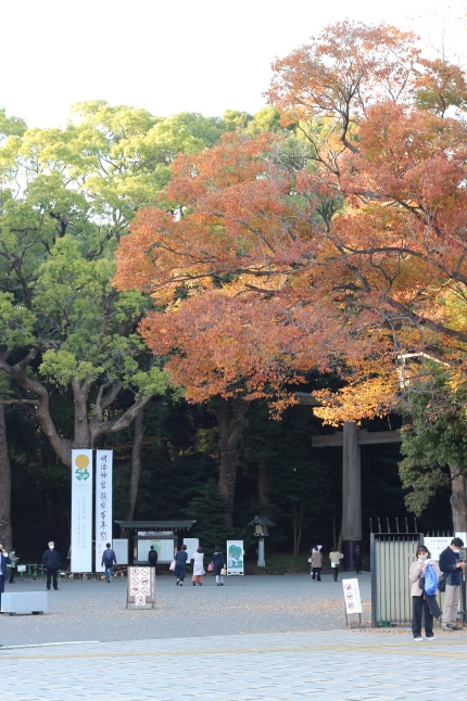 創建100周年の明治神宮に参拝する_f0354014_21544675.jpg