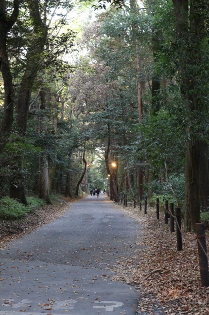 創建100周年の明治神宮に参拝する_f0354014_22001295.jpg