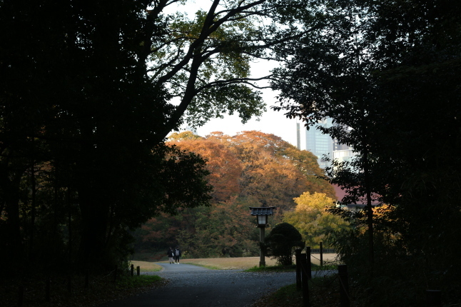 創建100周年の明治神宮に参拝する_f0354014_22003148.jpg