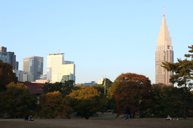 創建100周年の明治神宮に参拝する_f0354014_22004731.jpg