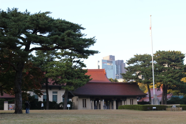 創建100周年の明治神宮に参拝する_f0354014_22023438.jpg
