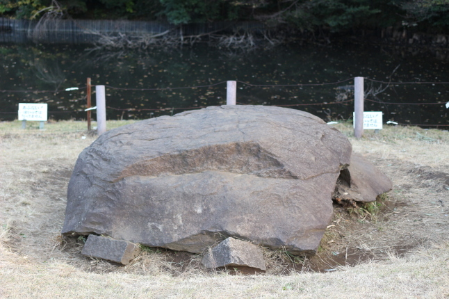 創建100周年の明治神宮に参拝する_f0354014_22024695.jpg