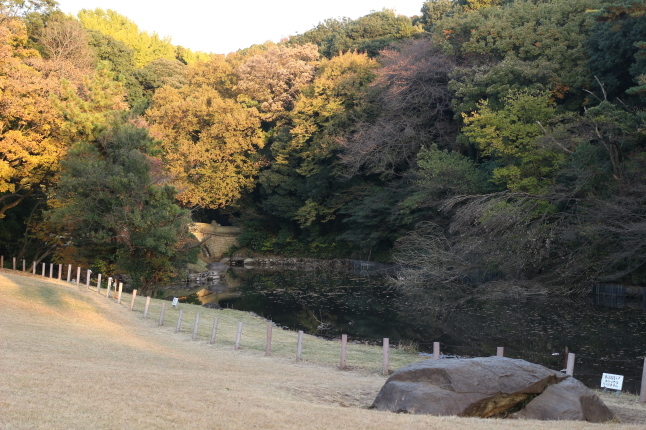 創建100周年の明治神宮に参拝する_f0354014_22031338.jpg