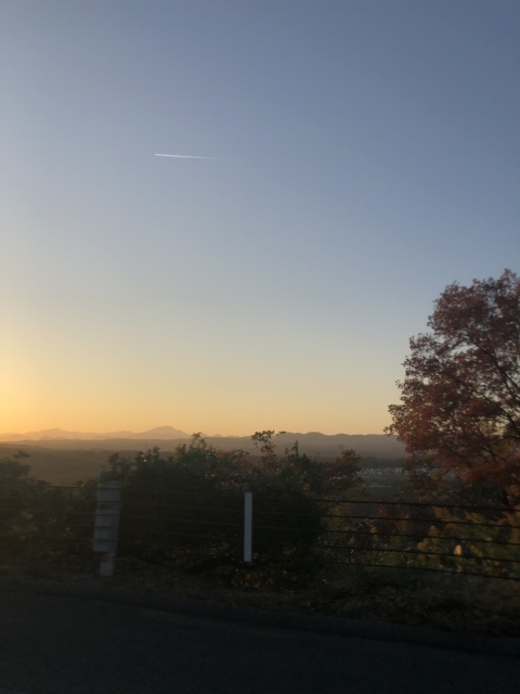 去る命、生まれる命_d0171222_16154494.jpeg