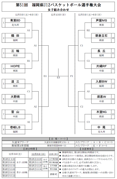 Tachikara Baller S Fukuoka Basketball Diary