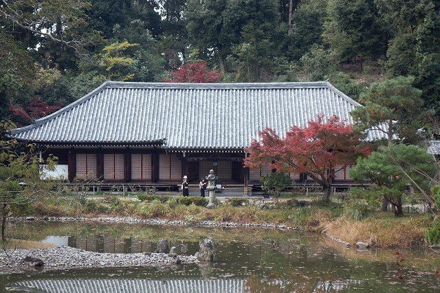 岩船寺・浄瑠璃寺　2020年11月17日_e0106724_21521628.jpg