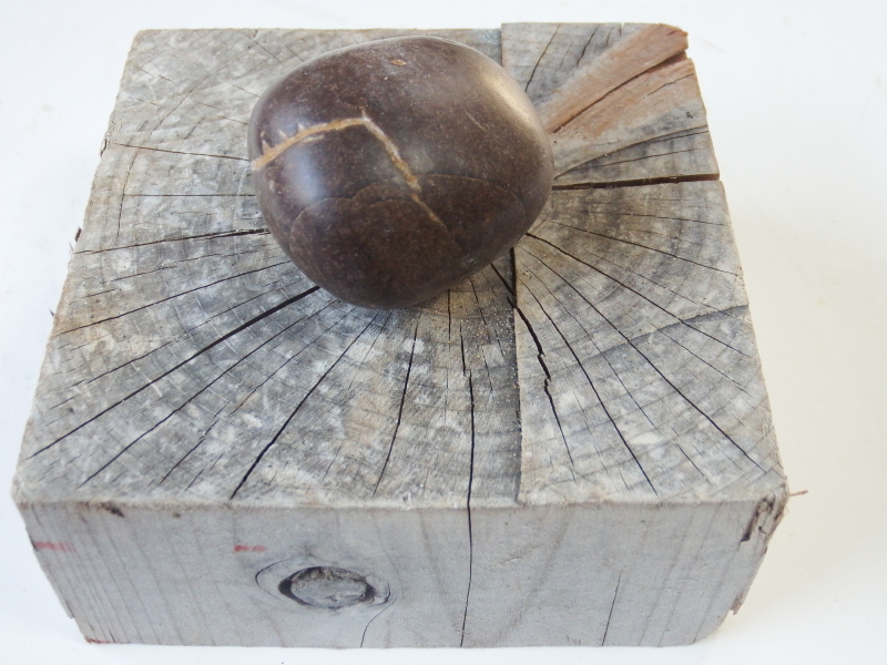 鑑賞石　室戸鉄丸石　木箱入 鑑賞石 室戸鉄丸石 木箱入 水石入門マニュアル | 盆栽、盆栽書籍、盆栽