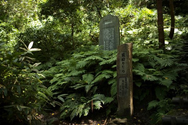 神奈川県 国指定史跡 リスト(一部) 画像・解説付き_b0212342_07393877.jpg