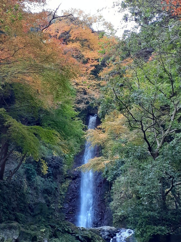 岐阜県・養老の滝_a0382352_16394206.jpg