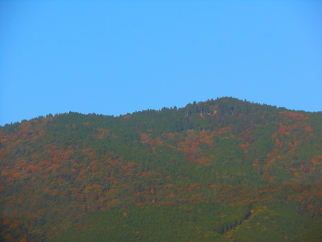 色づく、大きな山_e0175370_21300940.jpg