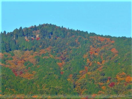 色づく、大きな山_e0175370_21301870.jpg