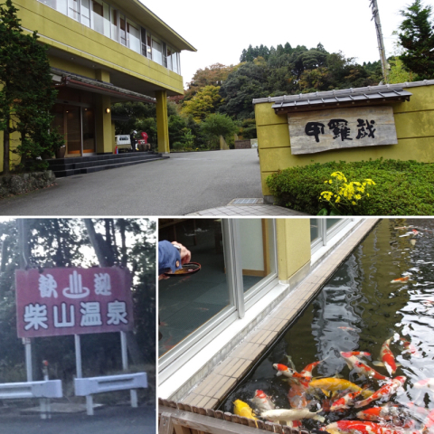 カニの宿 甲羅戯 と応挙寺 Go To で香住へ 11 5 6 ミミィの毎日