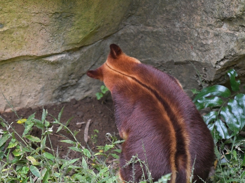 食べるかい、食べないのかい_a0164204_22404893.jpg