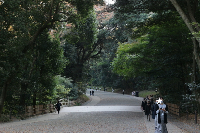 創建100周年の明治神宮に参拝する_f0354014_20293839.jpg