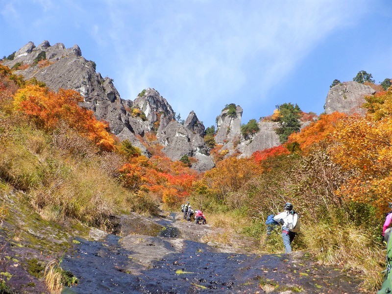 極上特大ラクーンアライグマ尻あて登山スキーキャンプヒップ