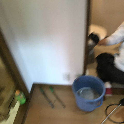 賃貸2日目_f0031037_19383820.jpg