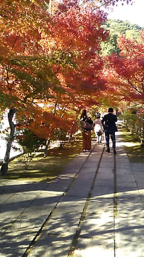 高森の家訪問 ~ 秋の錦帯橋(吉川公園)へ_b0096638_17203420.jpg