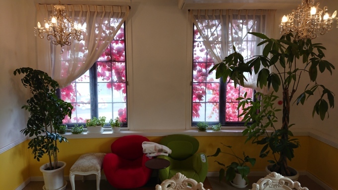 紅葉(´∀｀)_c0350439_22413308.jpg