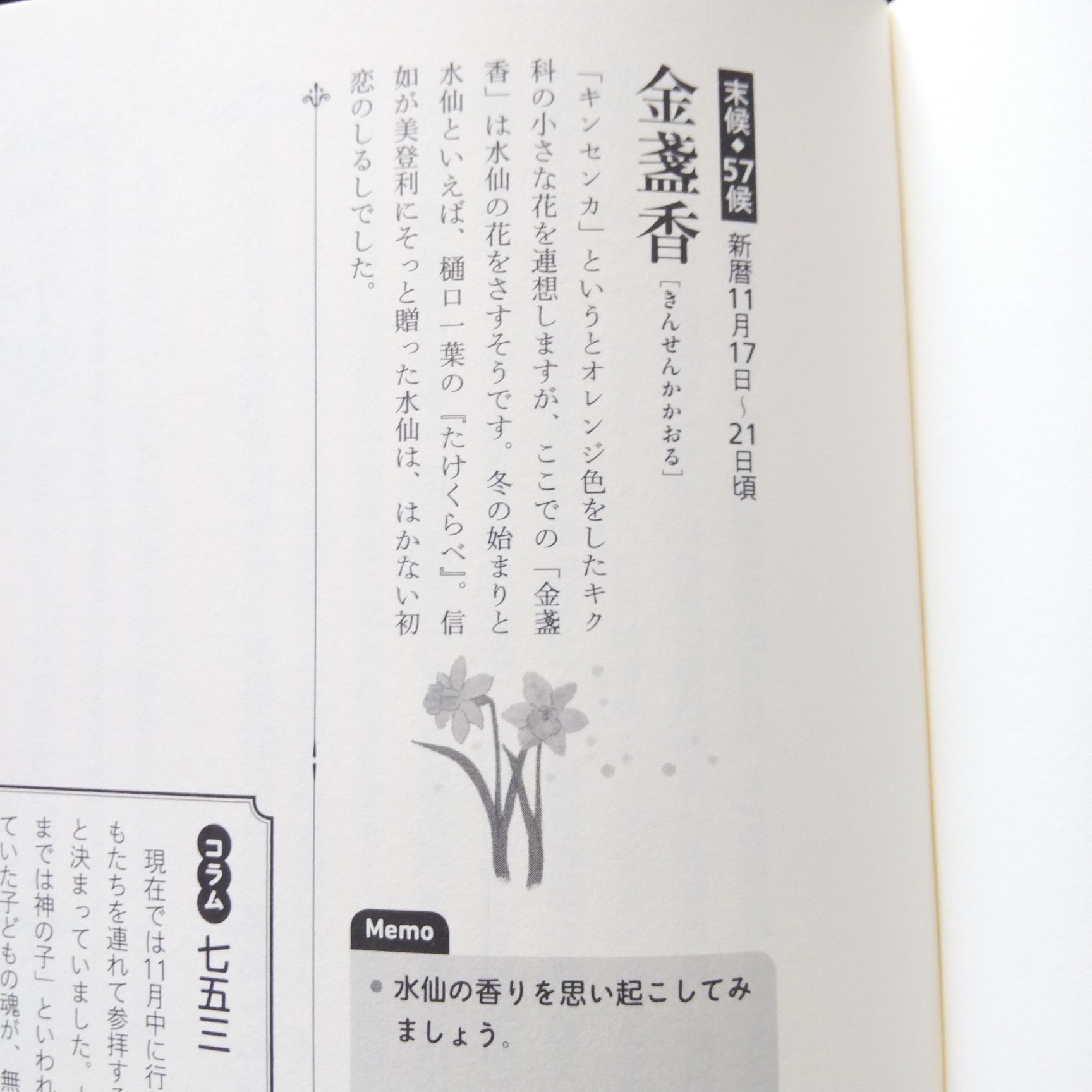 201118 七十二候「金盞香(きんせんかかおる)」_f0164842_19120496.jpg