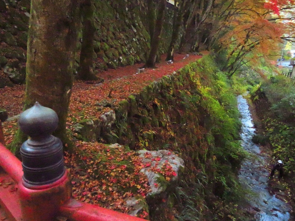 谷汲山の紅葉🍁 _a0018655_16572935.jpg