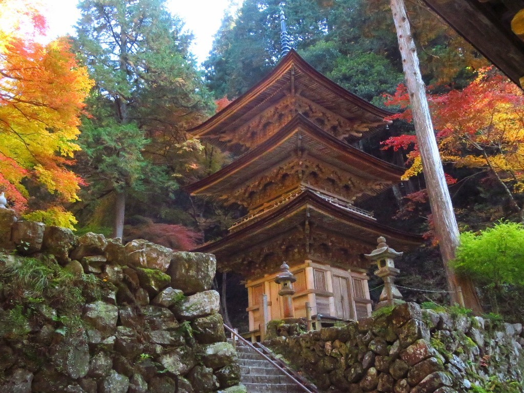 谷汲山の紅葉🍁 _a0018655_17003996.jpg