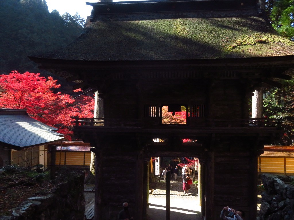 谷汲山の紅葉🍁 _a0018655_17004040.jpg