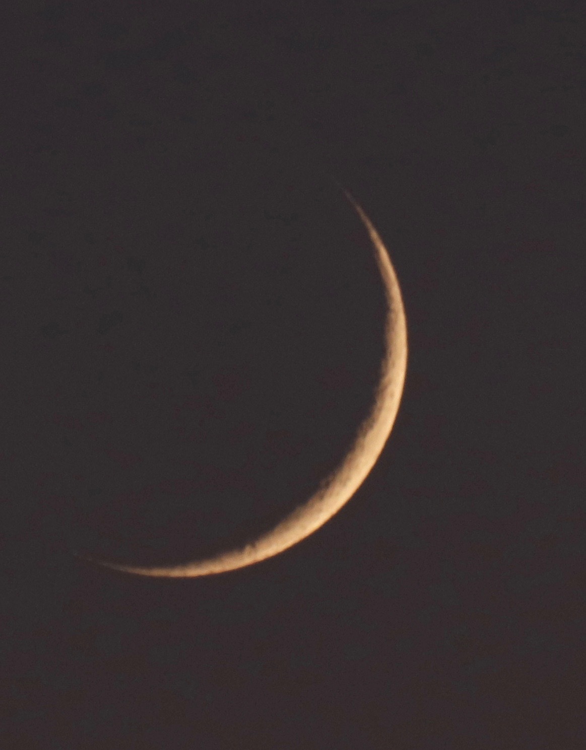 しし座流星群。。。 ! !_a0248459_14544334.jpg