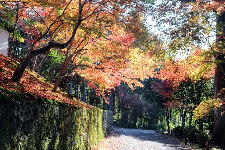 自分の原風景_a0219573_20163548.jpg