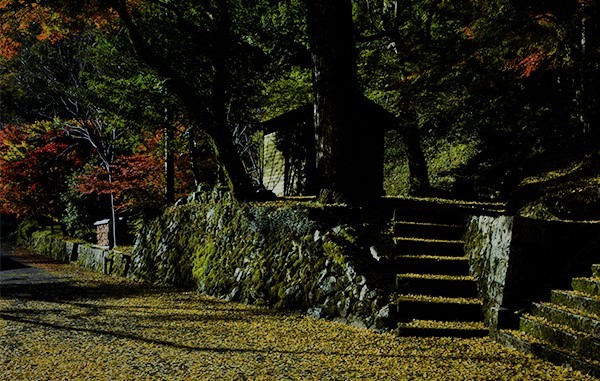 遊び人_e0064375_11101518.jpg
